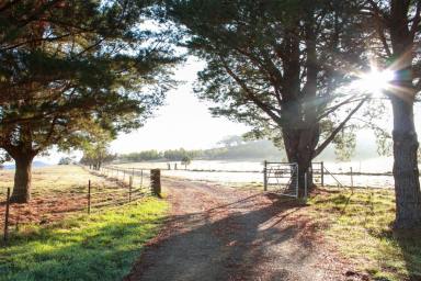 Mixed Farming For Sale - NSW - Rugby - 2583 - Pure Grace Farm- Grace by name Graceful by location (Image 2)