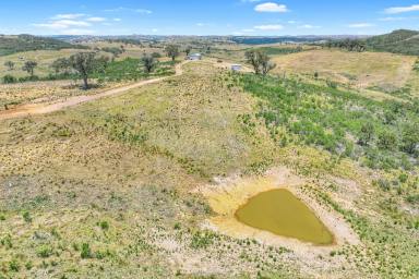 Lifestyle For Sale - NSW - Lewis Ponds - 2800 - Ready to run your own farm or build your dream home?! (Image 2)