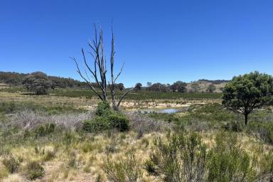 Lifestyle For Sale - NSW - Lewis Ponds - 2800 - Ready to run your own farm or build your dream home?! (Image 2)