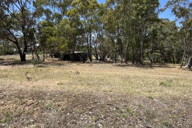 Other (Rural) For Sale - NSW - Bigga - 2583 - Vacant block full of possibilities!  (Image 2)