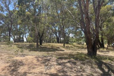 Other (Rural) For Sale - NSW - Bigga - 2583 - Vacant block full of possibilities!  (Image 2)