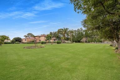 Lifestyle For Sale - NSW - Far Meadow - 2535 - "Roxy" (Image 2)