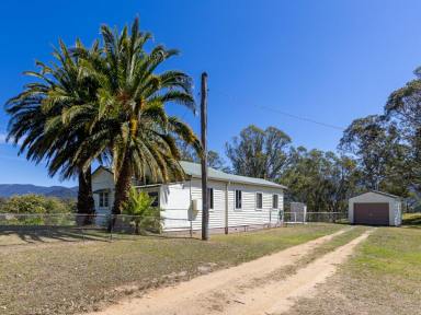 Acreage/Semi-rural For Sale - NSW - Bemboka - 2550 - CHARMING COTTAGE ON THE EDGE OF TOWN  (Image 2)