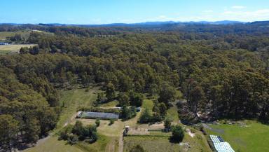House For Sale - TAS - Wynyard - 7325 - Peaceful property, five minutes from town  (Image 2)