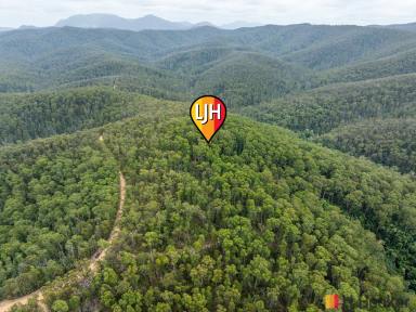 Residential Block For Sale - NSW - Currowan - 2536 - NATURE LOVERS DREAM.  (Image 2)