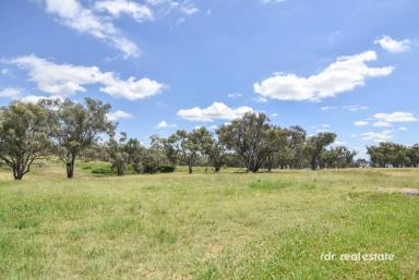 Residential Block For Sale - NSW - Inverell - 2360 - BUILD YOUR ACREAGE LIFESTYLE  (Image 2)