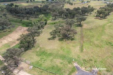 Residential Block For Sale - NSW - Inverell - 2360 - BUILD YOUR ACREAGE LIFESTYLE  (Image 2)