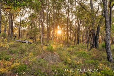 House For Sale - WA - Parkerville - 6081 - Exquisite 5 Acre Retreat with Bushland Views (Image 2)