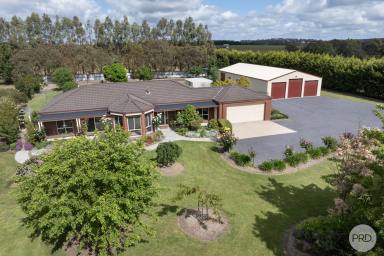 House For Sale - VIC - Haddon - 3351 - Cast Away Your Worries On Wilsons Road (Image 2)