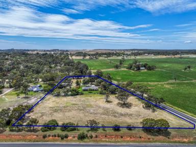 Lifestyle For Sale - SA - Naracoorte - 5271 - Country vista on the edge of town  (Image 2)