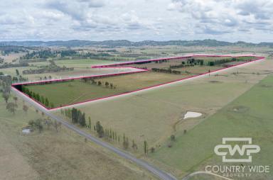 Mixed Farming For Sale - NSW - Glen Innes - 2370 - Premium Basalt Country With Creek Frontage Only 5 Minutes to Town  (Image 2)