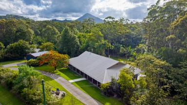 House For Sale - QLD - Tinbeerwah - 4563 - Tranquil Private Acreage - Noosa Hinterland (Image 2)