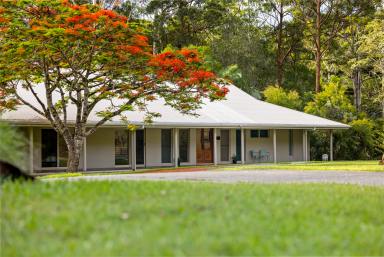 House For Sale - QLD - Tinbeerwah - 4563 - Tranquil Private Acreage - Noosa Hinterland (Image 2)