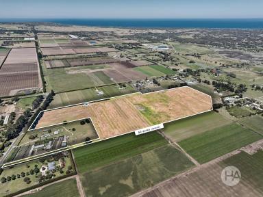 Residential Block For Sale - VIC - Boneo - 3939 - A Rare Peninsula Landholding of Scale and Possibility  (Image 2)