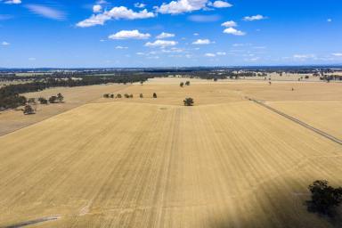 Mixed Farming Auction - VIC - Kialla East - 3631 - 'Holdsworths' - huge potential (Image 2)