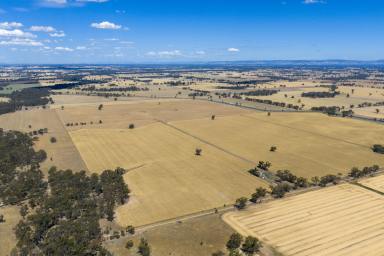 Mixed Farming Auction - VIC - Kialla East - 3631 - 'Holdsworths' - huge potential  (Image 2)