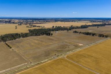 Mixed Farming Auction - VIC - Kialla East - 3631 - 'Walkers'  (Image 2)