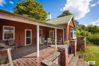 House For Sale - NSW - Bega - 2550 - Grand Old Bega Home on a Prime North-Facing 1,293m² Block (Image 2)