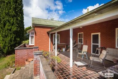 House For Sale - NSW - Bega - 2550 - Grand Old Bega Home on a Prime North-Facing 1,293m² Block (Image 2)
