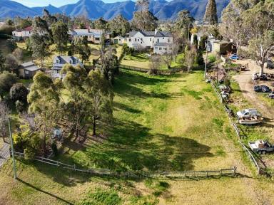 Residential Block For Sale - NSW - Bemboka - 2550 - BLANK CANVAS IN CHARMING VILLAGE  (Image 2)