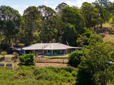 House For Sale - NSW - Bega - 2550 - PRIVATE SETTING - CLOSE TO TOWN  (Image 2)