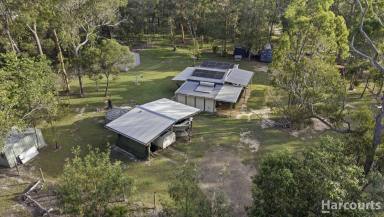 Residential Block For Sale - QLD - Pacific Haven - 4659 - Escape to 39 Acres of Off-Grid Freedom and Endless Possibilities (Image 2)