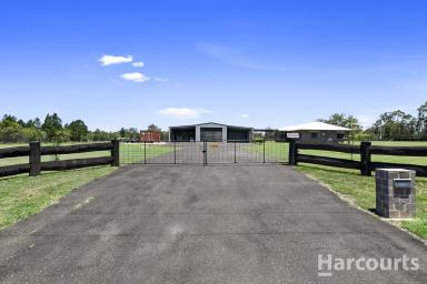 House For Sale - QLD - Dunmora - 4650 - Luxury Living - Acreage Freedom, close to Maryborough!  (Image 2)