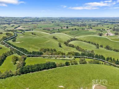 Other (Rural) For Sale - VIC - Dumbalk - 3956 - 'The Loves Lane Grazing Block' (Image 2)