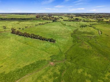 Mixed Farming For Sale - VIC - Branxholme - 3302 - Multi-lot mixed farming (Image 2)
