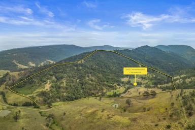 Lifestyle For Sale - NSW - Singleton - 2330 - A Piece of Paradise at Carrowbrook (Image 2)