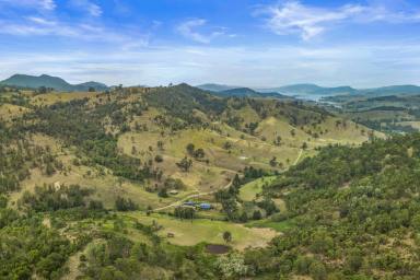 Lifestyle Sold - NSW - Singleton - 2330 - A Piece of Paradise at Carrowbrook  (Image 2)