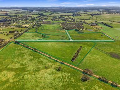 Mixed Farming For Sale - VIC - Branxholme - 3302 - Multi-lot mixed farming (Image 2)