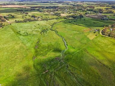 Mixed Farming For Sale - VIC - Branxholme - 3302 - Multi-lot mixed farming (Image 2)
