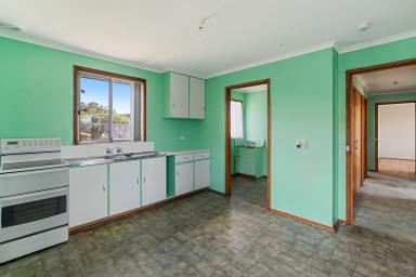 House For Lease - TAS - Herdsmans Cove - 7030 - Great family home  (Image 2)