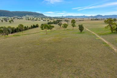 Lifestyle For Sale - NSW - Rylstone - 2849 - Hillview – Productive Grazing Holding with Dual Accommodation  (Image 2)