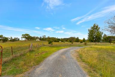 Lifestyle For Sale - NSW - Rylstone - 2849 - Hillview – Productive Grazing Holding with Dual Accommodation  (Image 2)