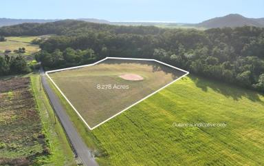 Residential Block For Sale - QLD - Mossman - 4873 - CREEKSIDE ACREAGE OF LAND IN MAGICAL WHYANBEEL  (Image 2)