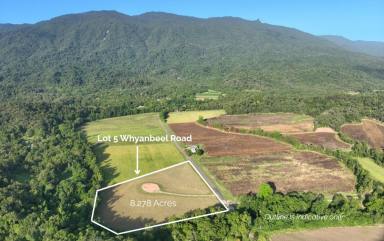Residential Block For Sale - QLD - Mossman - 4873 - CREEKSIDE ACREAGE OF LAND IN MAGICAL WHYANBEEL  (Image 2)
