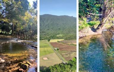 Residential Block For Sale - QLD - Mossman - 4873 - CREEKSIDE ACREAGE OF LAND IN MAGICAL WHYANBEEL  (Image 2)
