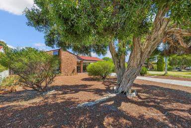 House For Sale - WA - Langford - 6147 - First time offering, a rare gem! (Image 2)