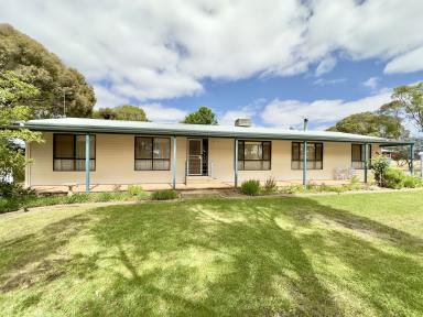 House For Sale - SA - Bordertown - 5268 - Private Country Living Just Minutes from Town (Image 2)