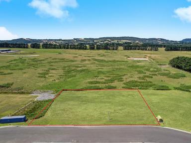 Land/Development For Sale - NSW - Moss Vale - 2577 - ​Prime Industrial Land Opportunity  (Image 2)