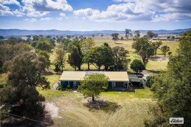 Acreage/Semi-rural For Sale - NSW - Kanoona - 2550 - LIVE THE LIFE YOU DREAM OF  (Image 2)