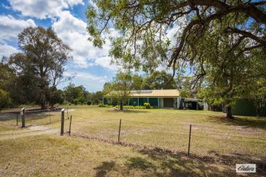 Acreage/Semi-rural For Sale - NSW - Kanoona - 2550 - LIVE THE LIFE YOU DREAM OF  (Image 2)