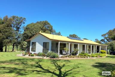 Acreage/Semi-rural For Sale - NSW - Kanoona - 2550 - Now Reduced – Exceptional Value Under $800,000  (Image 2)