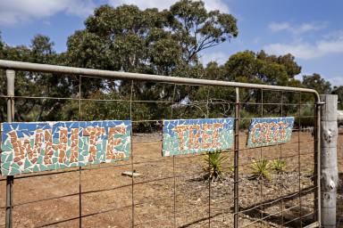 Residential Block For Sale - SA - Middle River - 5223 - KANGAROO ISLAND - 300 Acre Bushland Hideaway + "Shouse" + "CaraCabin"  (Image 2)