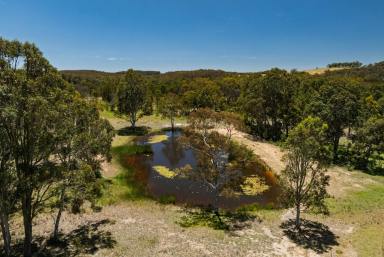 Lifestyle For Sale - NSW - Gundary - 2580 - IMMACULATE COUNTRY FAMILY HOMESTEAD ON 100 PRISTINE ACRES (Image 2)