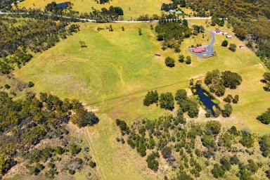 Lifestyle For Sale - NSW - Gundary - 2580 - Quality 100 Acre Grazing & Family Home Property Just 15 Minutes from Goulburn  (Image 2)