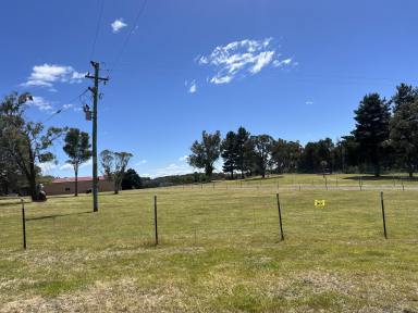 Lifestyle For Sale - NSW - Gundary - 2580 - 100 ACRES, PERFECT HORSES, CREEK, POWER, SOLAR, NICELY PRESENTED  (Image 2)