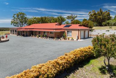Lifestyle For Sale - NSW - Gundary - 2580 - 100 ACRES, PERFECT FOR HORSES, CREEK, POWER+SOLAR, NICELY PRESENTED  (Image 2)